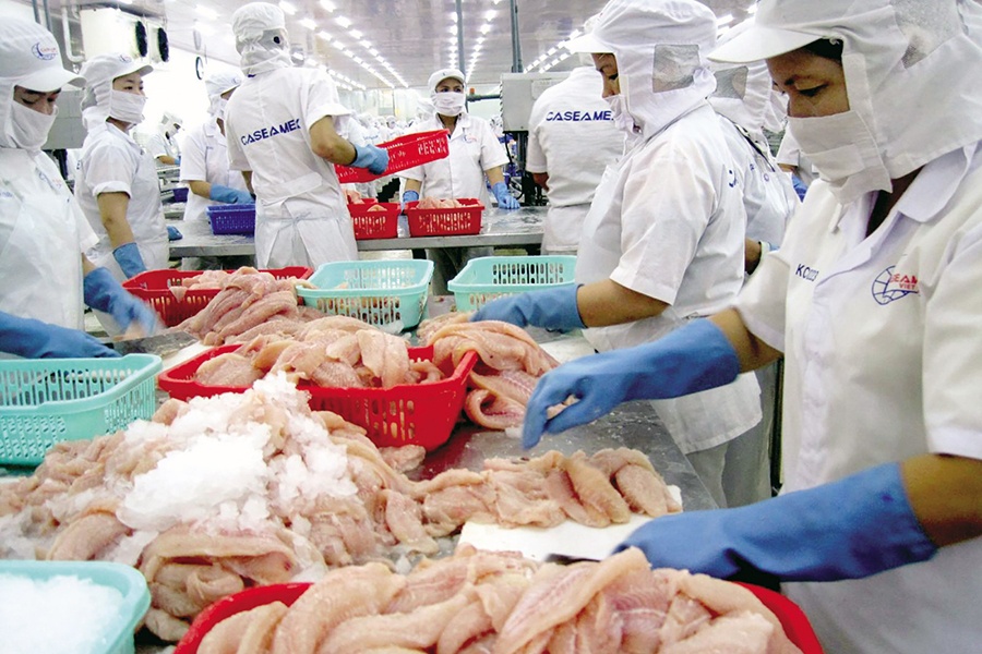 Việt Nam đang đứng thứ tư thế giới về xuất khẩu thủy sản