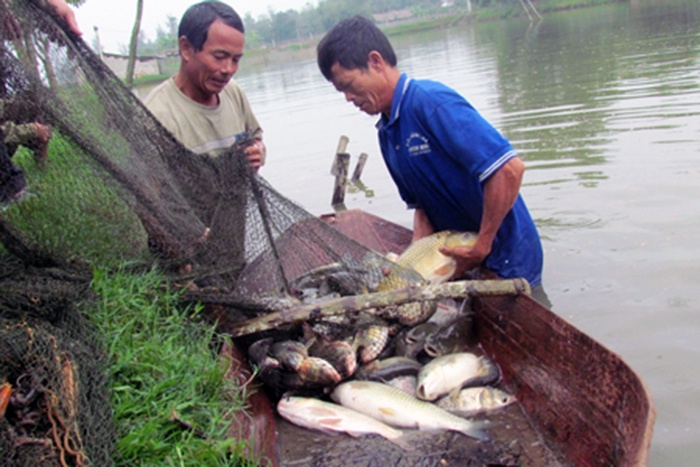 Hiệu quả nhờ chuyển đổi sinh kế của ngư dân ven biển tại Nghệ An