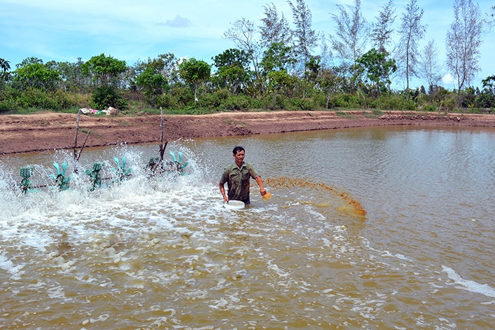 Quản lý môi trường trong nuôi tôm siêu thâm canh