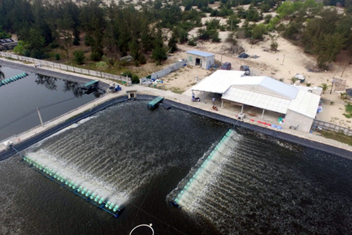 "Băm nát" danh thắng đầm Ô Loan để nuôi tôm