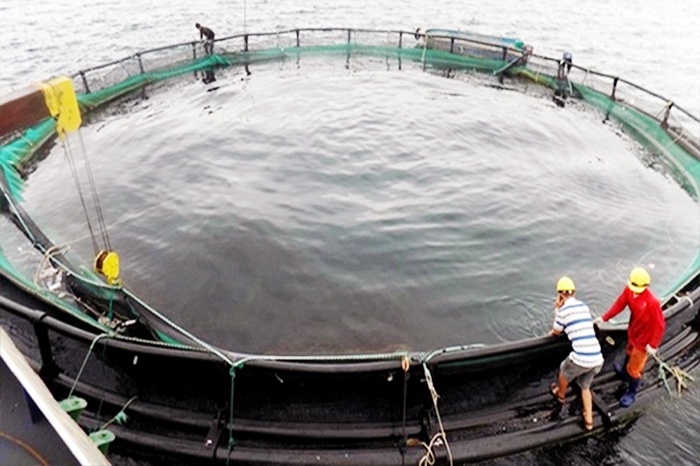 Hướng phát triển mới của ngành thủy sản Quảng Ninh