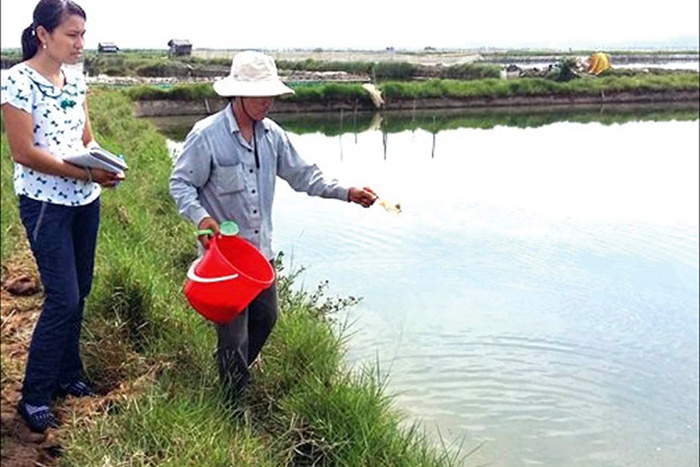 Thừa Thiên Huế: Nuôi xen ghép tôm - cua - cá đạt hiệu quả cao