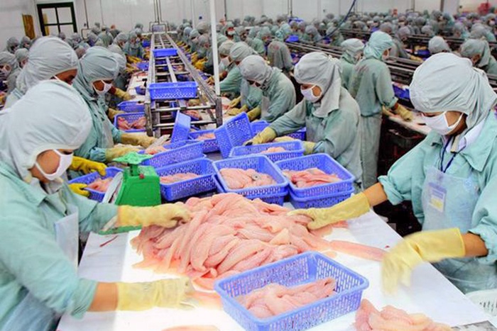 Xuất khẩu cá tra sang Trung Quốc và Mỹ bất ngờ giảm