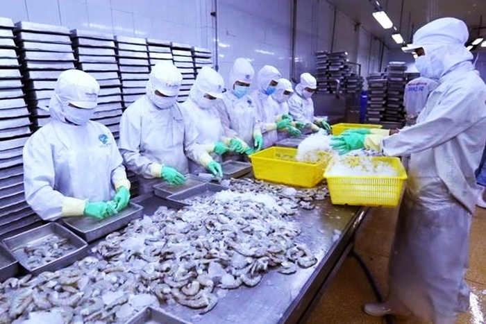 Xuất khẩu tôm Việt Nam tiếp tục giảm trong quý đầu năm nay