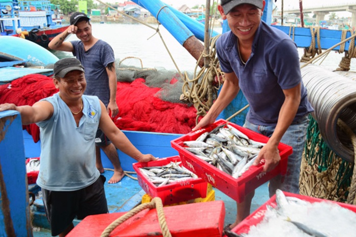 Ninh Thuận: Bước khởi động mới cho vụ cá Nam