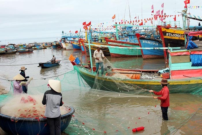 Bình Thuận: Phát triển thủy sản thành kinh tế mũi nhọn