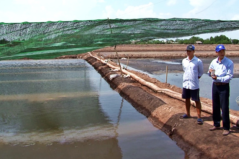 Lưới che nắng - Giải pháp nuôi artemia mùa nắng