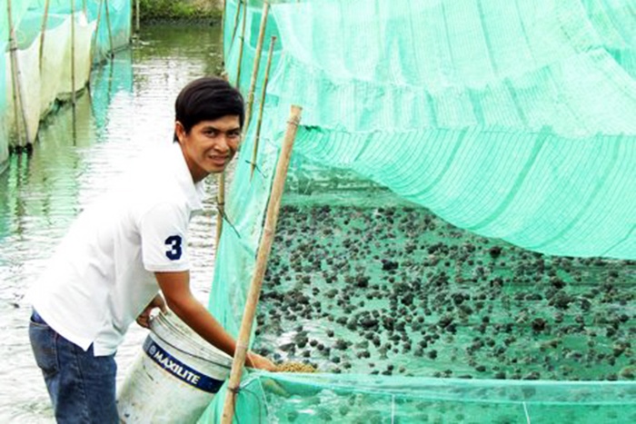 Nuôi ếch hết nghèo ở Bình Ninh