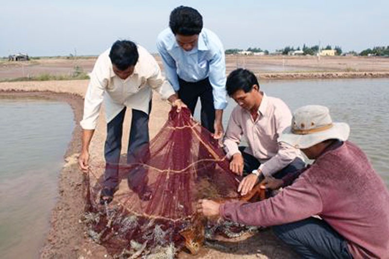 Phát huy tiềm năng nuôi trồng thủy sản Bến Tre