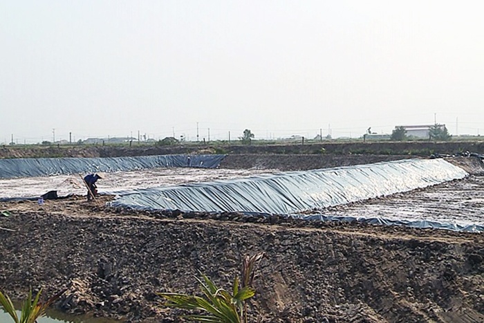 Hà Tĩnh: Phát triển nuôi tôm theo hướng thâm canh an toàn sinh học