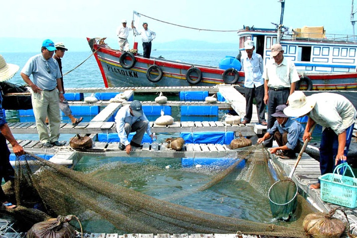 Phú Yên Kiên quyết di dời lồng bè thủy sản tự phát