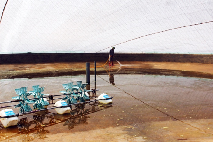 Thái Thụy: Cải tạo ao đầm nuôi trồng thủy sản