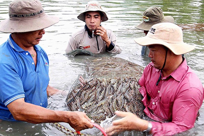 Ðưa con tôm lên sàn giao dịch