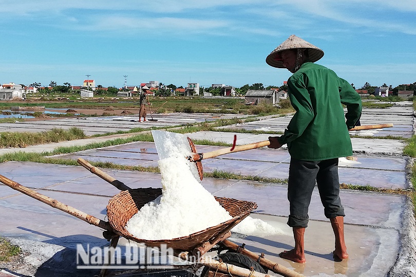 Nam Định: Còn nhiều khó khăn trước mùa muối mới