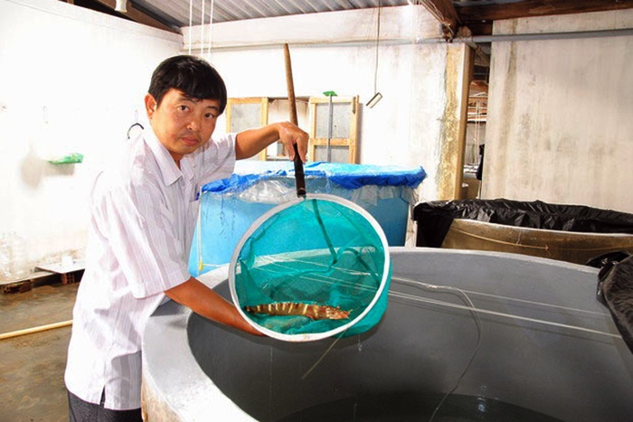 Bình Định: Sản xuất hơn 670 triệu con giống thủy sản