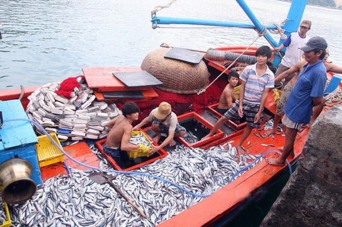 Bình Định: Xây dựng cụm công nghiệp chế biến thủy sản