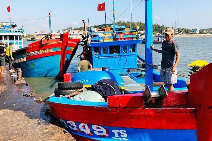 Áp lực vụ cá Nam