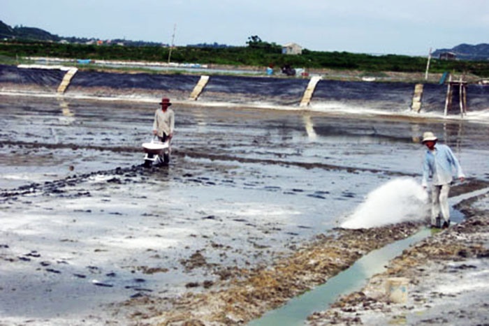 Một số cảnh báo và biện pháp phòng trị bệnh trên tôm nuôi đầu vụ