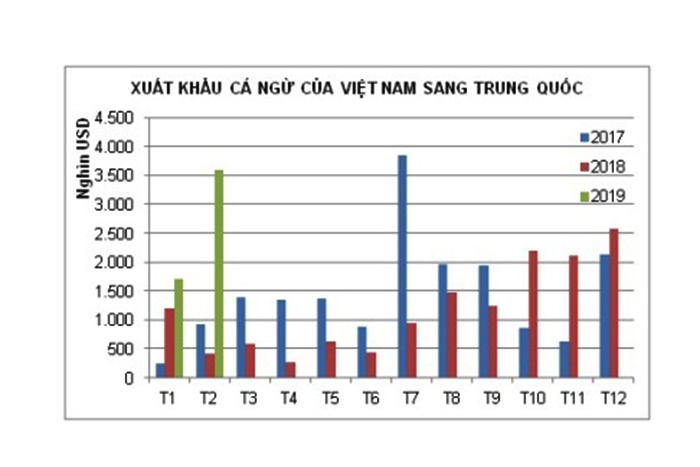 Xuất khẩu cá ngừ sang Trung Quốc tăng đột biến