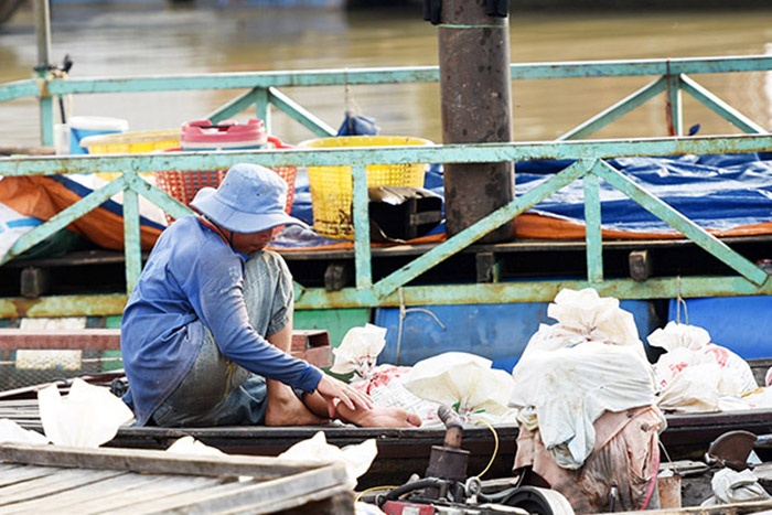 Người nuôi cá nên tuân thủ khuyến cáo của nhà chuyên môn