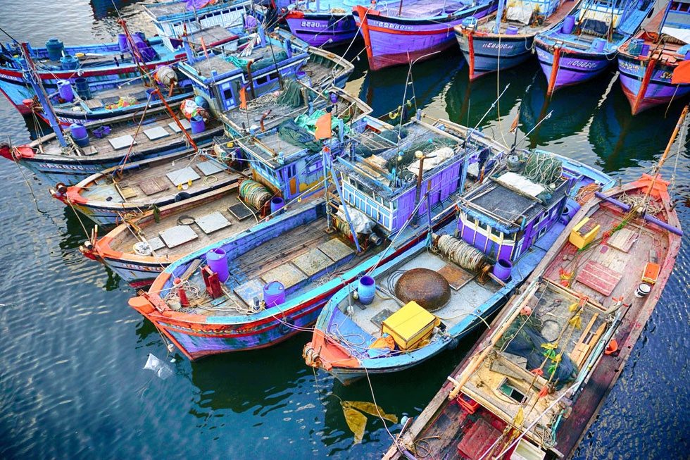 57 cảng cá được chỉ định xác nhận nguồn gốc thủy sản