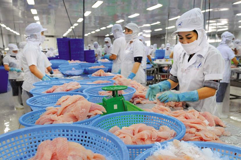 Xuất khẩu gạo, cá tra ngày càng khó khăn