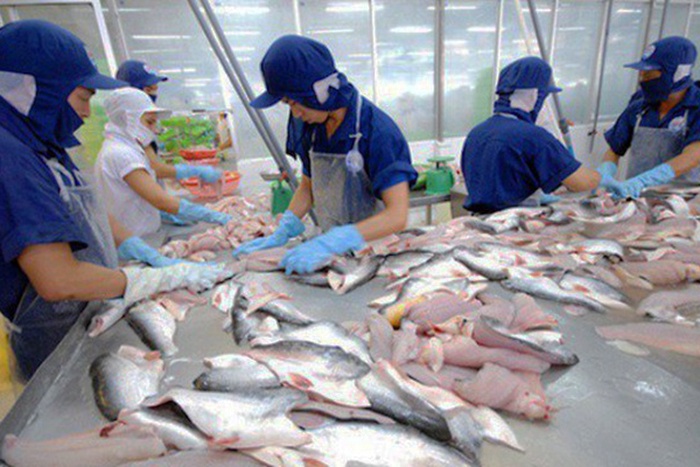 Nhật Bản nằm trong top thị trường xuất khẩu cá tra lớn nhất Việt Nam