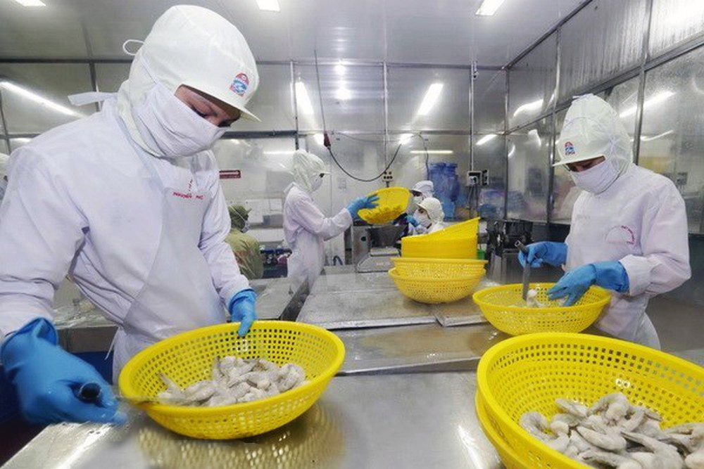 Xuất khẩu tôm Việt Nam: Những lợi thế cạnh tranh