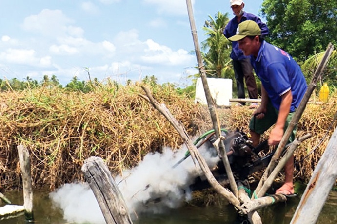 Gồng mình chống nóng nuôi tôm
