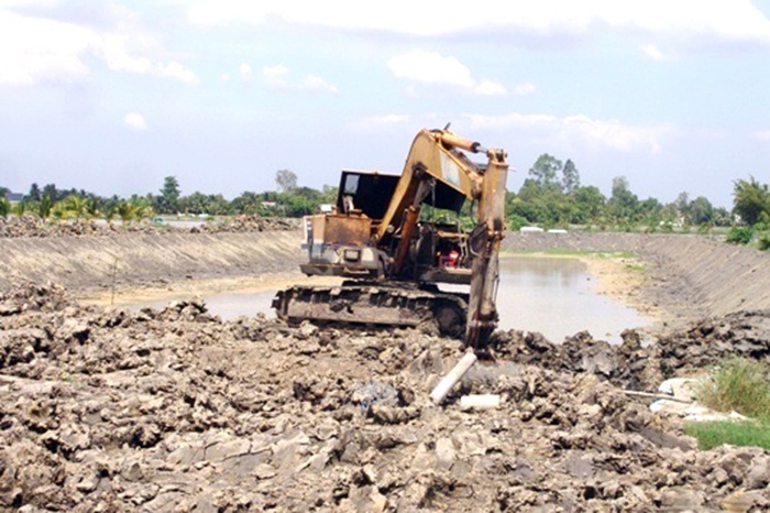 Nông dân ương cá tra giống ngậm ngùi lấp ao do thua lỗ