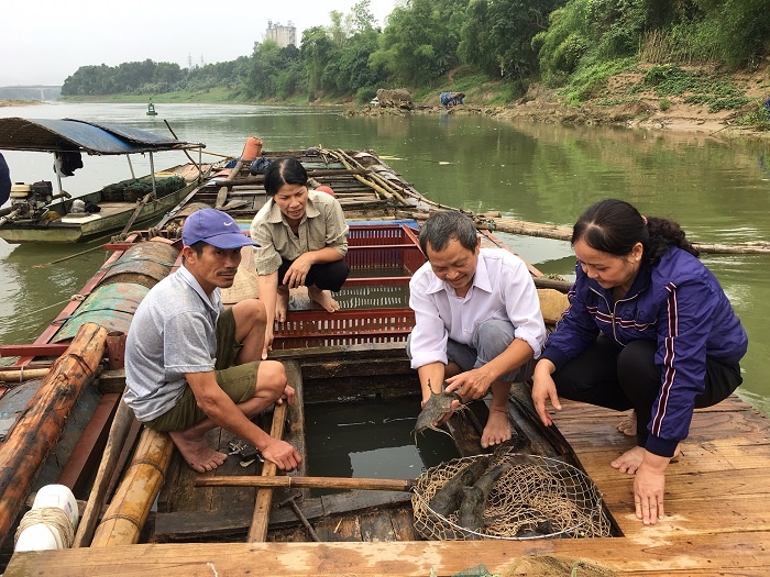 Chăm sóc và quản lý đàn cá nuôi mùa nắng nóng