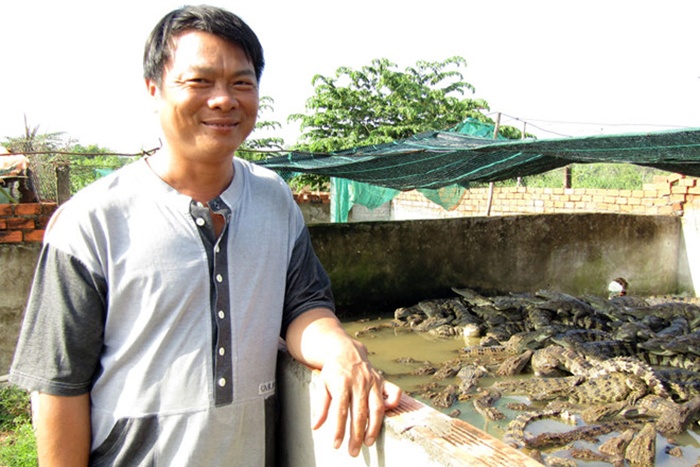 Nông dân Cần Thơ nuôi cá sấu thu lãi tiền tỉ