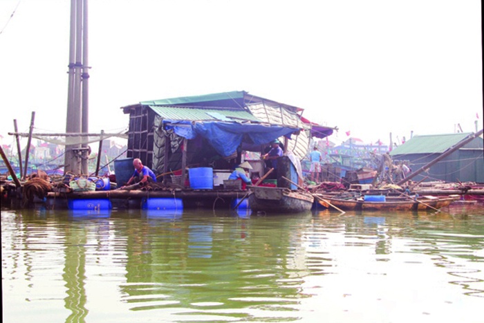 Nuôi trồng thủy sản ồ ạt – tiềm ẩn nhiều rủi ro