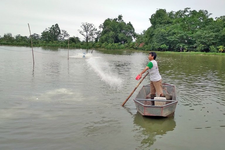 Giảm thiểu thiệt hại trong nuôi trồng thủy sản trước mùa mưa bão