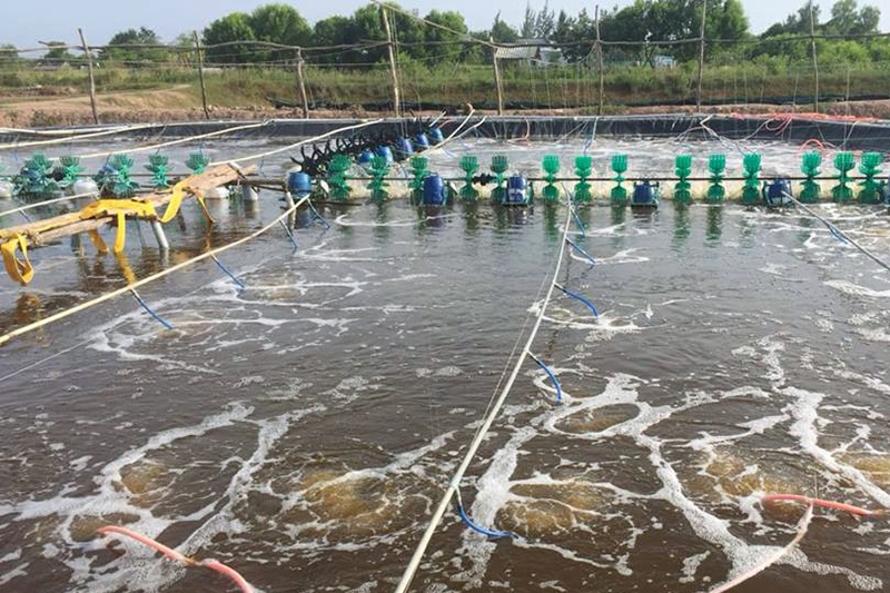 Thành tựu nuôi trồng thủy sản Nghệ An 2018