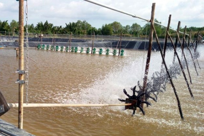 Kết quả quan trắc môi trường nuôi thủy sản TP HCM tháng 5