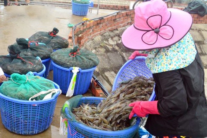 Nông, thủy sản chật vật tìm đường... xuất ngoại