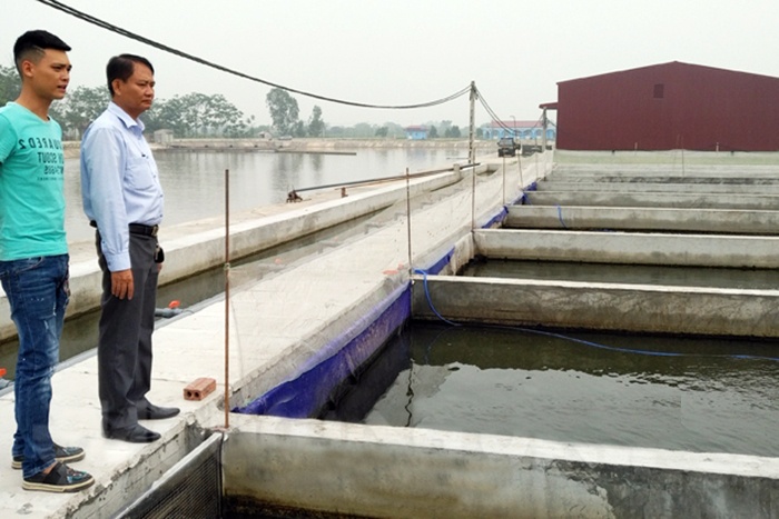 Ước mơ đưa cá nước ngọt xuất ngoại