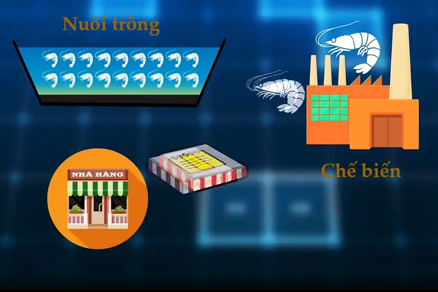 Truy xuất nguồn gốc - Giải pháp căn cơ của ngành tôm