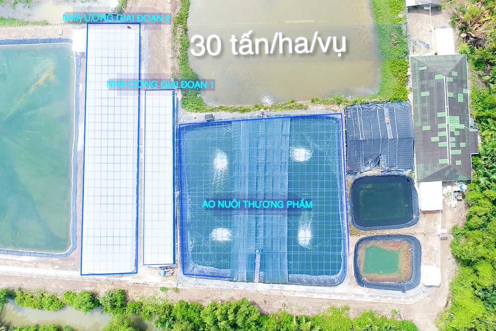 Giảm tối đa lượng nước sử dụng và tiết kiệm chi phí nuôi tôm bằng công nghệ xử lý nước Acui-T