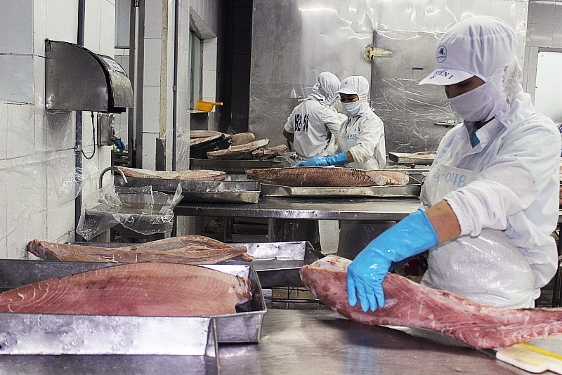 Thủy sản xuất sang Trung Quốc bị ảnh hưởng vì nhân dân tệ mất giá