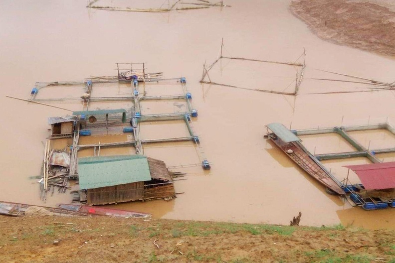 Cá lồng trên lòng hồ thủy điện Sơn La chết hàng loạt