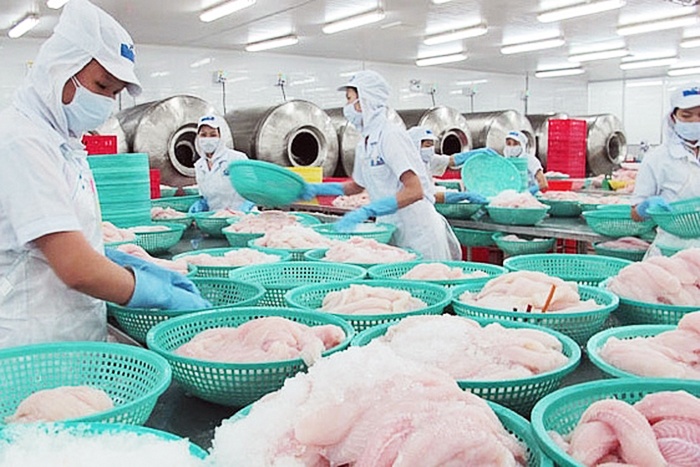 Cá tra Việt Nam chinh phục nhiều thành phố lớn của Trung Quốc