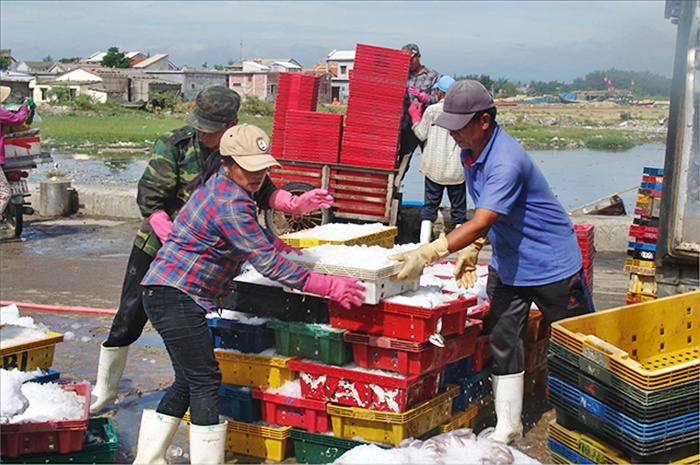 Hỗ trợ nhiên liệu để ngư dân bám biển