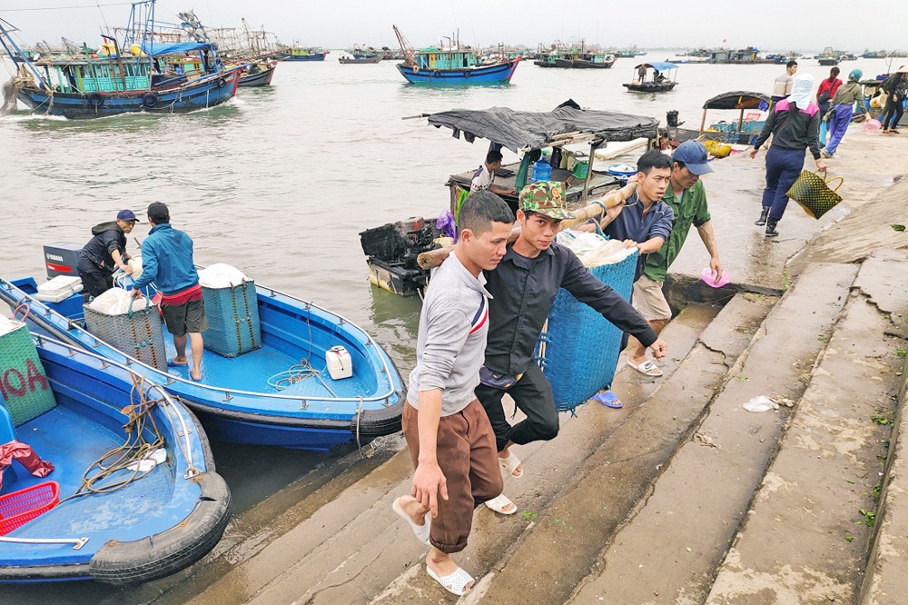 Công bố hạn ngạch giấy phép khai thác thủy sản