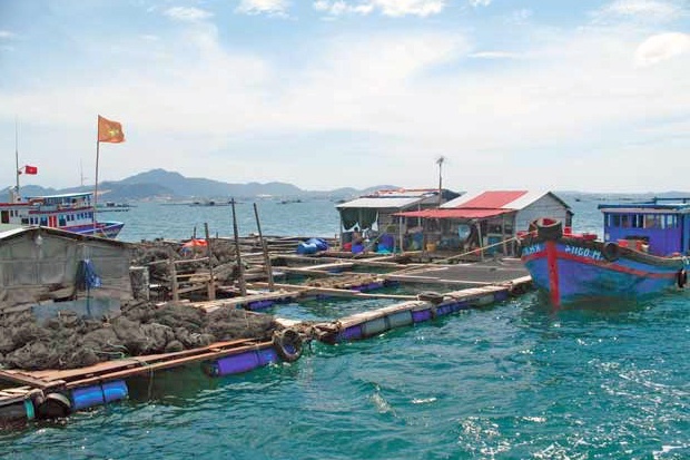 Cam Ranh: Yêu cầu dời lồng bè thủy sản ra khỏi luồng hàng hải