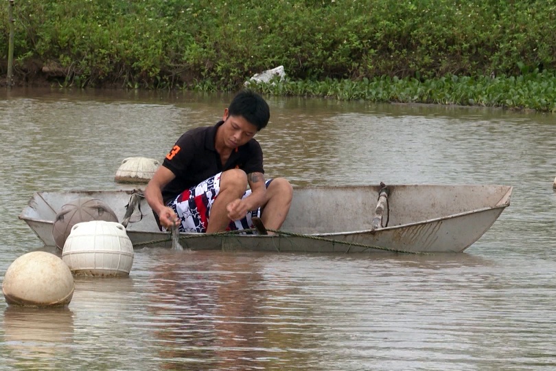 Độc đáo mô hình nuôi trai nước ngọt lấy ngọc