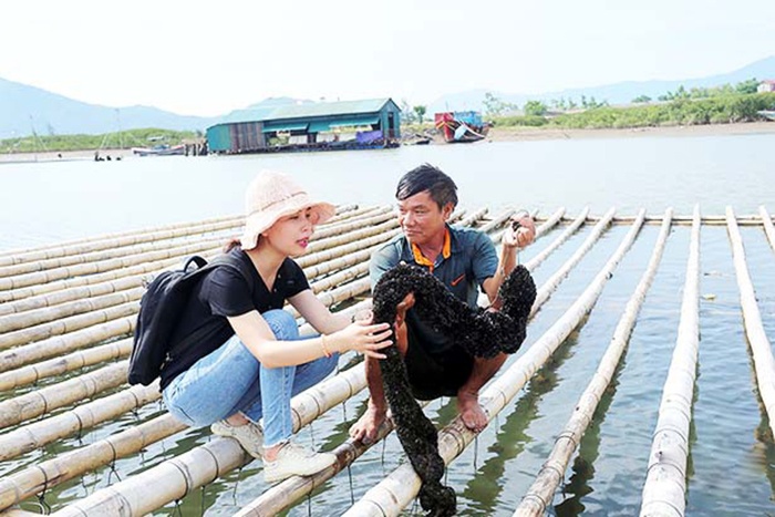 Thả bè “rước” vẹm đen, nông dân thu trăm triệu