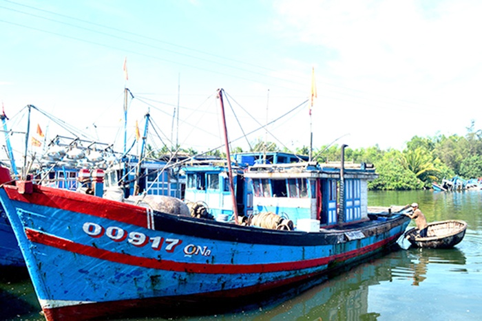 Quảng Nam: Khó quản lý nghề cá ven bờ
