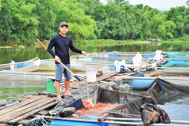 Phát triển bền vững ngành thủy sản Việt Nam Bài 1  Trang Thành phố Hồ  Chí Minh  Báo ảnh Dân tộc và Miền núi